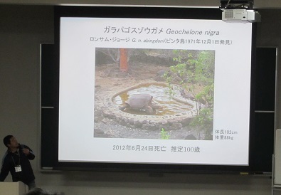 第16回日本カメ会議で研究報告！: 加藤英明の「静岡ぐるっと生き物探検！」