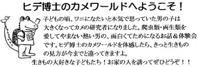 qfm̃J[hւ悤.p.jpg