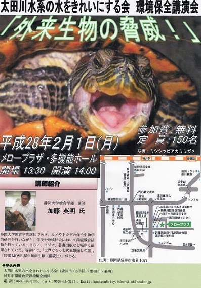 外来生物の脅威.アカミミガメT.scripta.静岡大学加藤英明.ShizuokaUniversity,Japan.HideakiKato.jpg