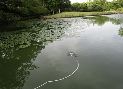 浜松市池の生きもの調査.アカミミガメ2.jpg