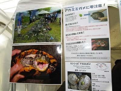 ÉYƃtFA2015AJ~~K[.ÉwpHideakiKato4.jpg