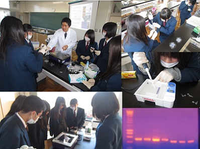 静岡県立大井川高校SPP.カメのDNA.jpg