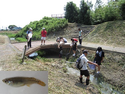 É썂wZSPP1.jpg
